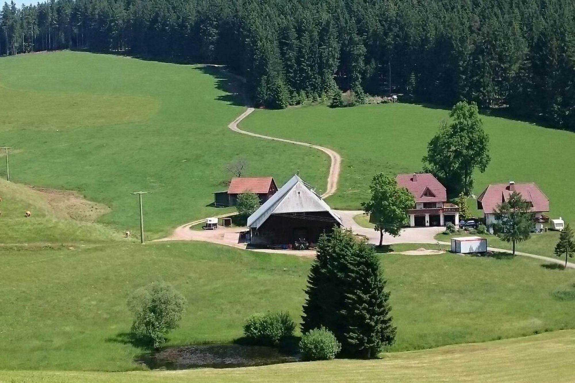 Oberengenbachhof Appartement Eisenbach  Buitenkant foto
